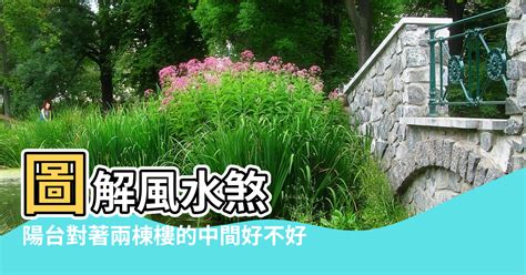 大樓中間戶風水|【風水 兩排樓中間】圖解風水煞 